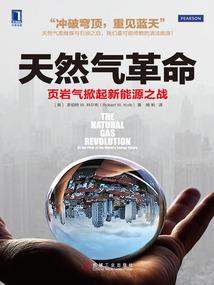 职业年金应该怎样发行
