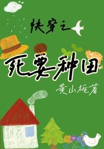 我的世界原版生存麦田