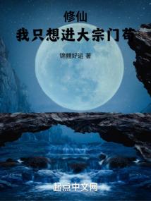 ps4转接黑屏