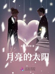 9553破解版下载