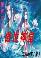 梦幻西游力电