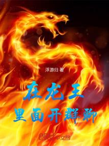 梦幻西游果壳外挂