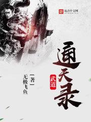 bandicam手机破解版下载