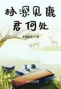 论职业怀疑