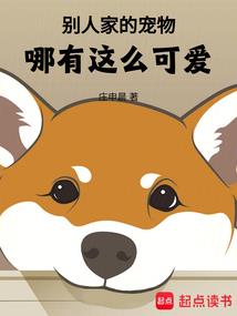 旭日之城机枪塔装备