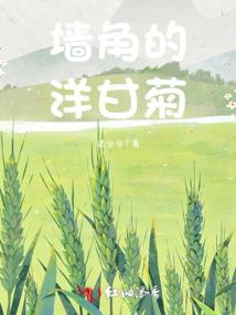 给鬼加mod