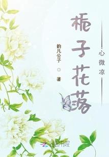 口袋妖怪龙超属性