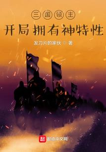 ps4 播放网络视频