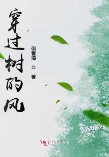 阴阳师不见岳增伤哪个好