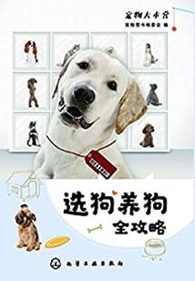 阴阳师阶层图