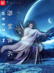 王者专业选手