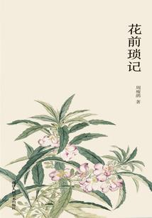 格斗进化三人物互换属性