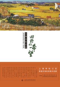 荒野乱斗里的比特图片