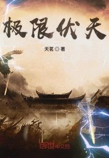 荒野特训 芯片