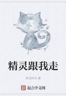 nplay破解版