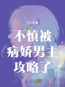 荒野plus咋玩