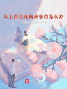 海妲装备