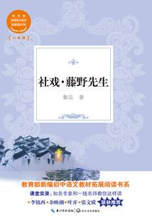 胜利女神游戏下载破解版
