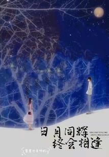 魔兽t职业