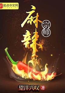 网络大师破解版