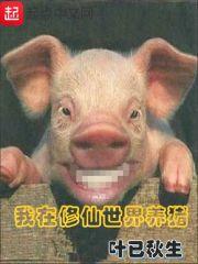金鲨银鲨游戏攻略