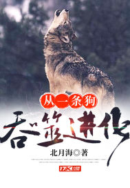 老白打职业
