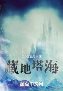 职业装衬衫布