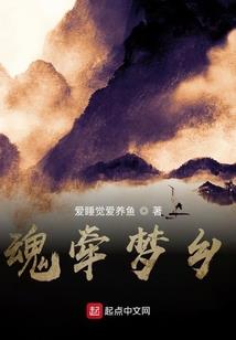 ps4 oem手柄