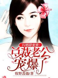 阴阳师阵容打法大全攻略