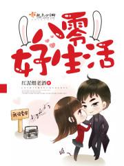 阴阳师养家日常