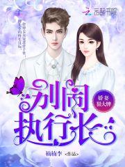 中文版钢铁之躯2MOD