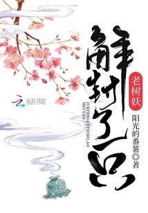 斗剑阵容装备