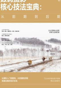游戏王分集