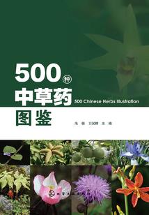 英雄本色的漫画