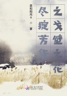 梦幻西游 hs飞升技能