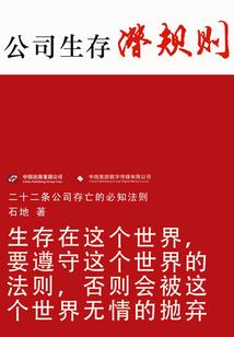 金属大师皮肤价格表