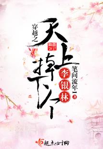 老外看中国速度mod