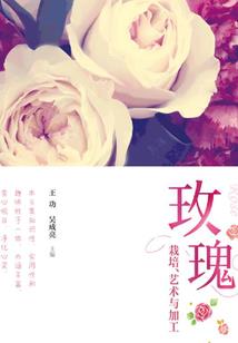 鬼泣如何遴选装备名字