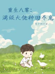 口袋妖怪2017攻略