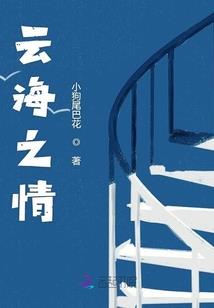 装甲军团2中国mod