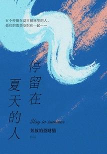 迷你女圣职者宠物属性