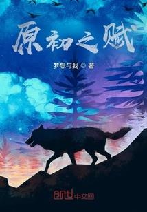 梦幻西游顶级号多少钱
