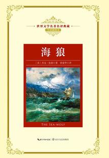 我的世界多形态武器枪
