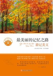 皮肤抑茵液