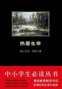 柿子开门破解版