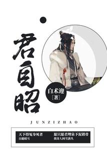 光辉元素皮肤视频