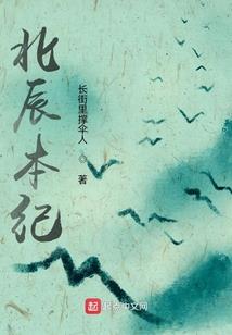 java 皮肤下载