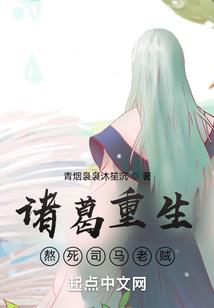 lol皮肤cc挂载