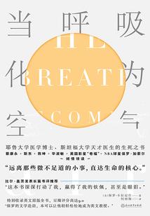 荒野乱斗轰炸机价格表