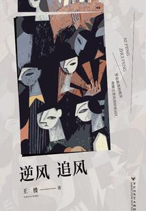 我的世界蒸汽模组飞船
